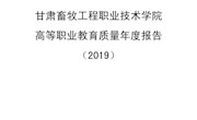 高等职业教育质量年度报告（2019）